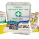 Snake Bite and Insect Stings First Aid Kit