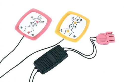 Lifepak Defibrillator Replacement